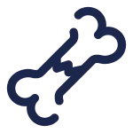 Bone Crack SVG Icon